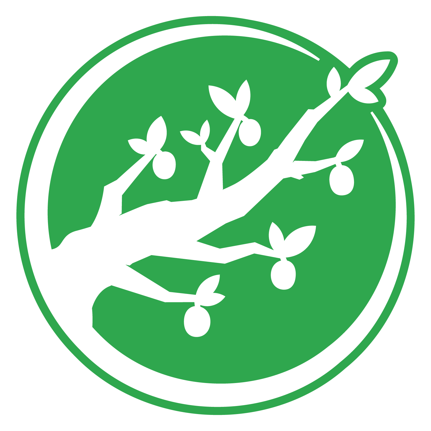 BVC_Icon_1-Color-R_RGB